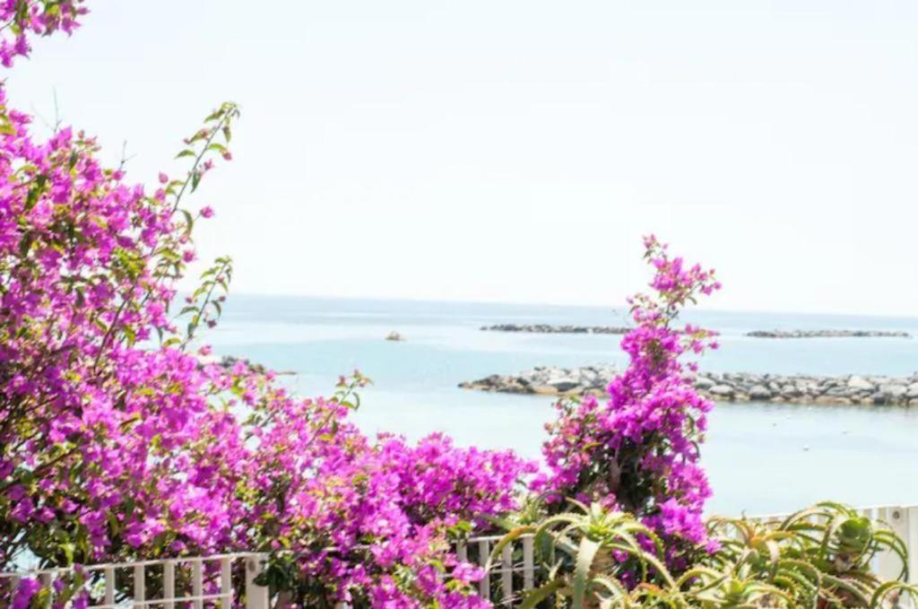 Casa Vacanza Rossella San Remo Buitenkant foto