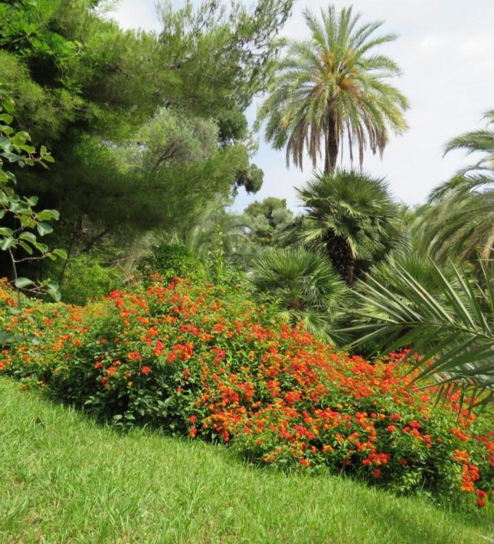 Casa Vacanza Rossella San Remo Buitenkant foto