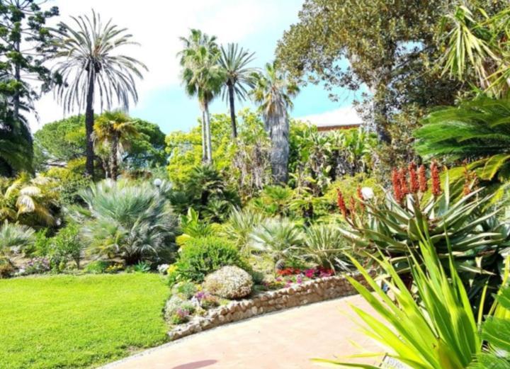 Casa Vacanza Rossella San Remo Buitenkant foto