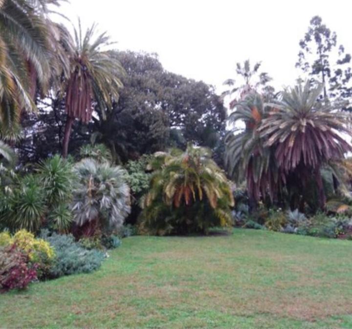 Casa Vacanza Rossella San Remo Buitenkant foto